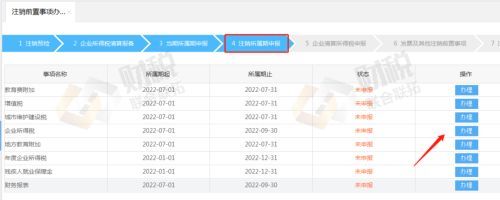 青島公司稅務注銷網(wǎng)上操作流程-稅務登記注銷流程(圖8)